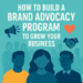 Graphic with text: How to Build a Brand Advocacy Program to Grow Your Business, with icons of megaphone, heart, and handshake.